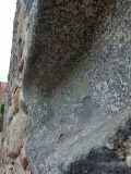 Hünenhacke in der Stadtmauer Templin