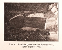 Steinkiste im Springgehäge 1