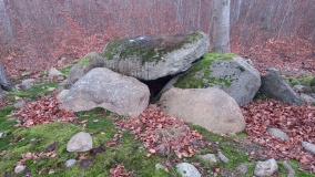 Forst Suckow Dolmen