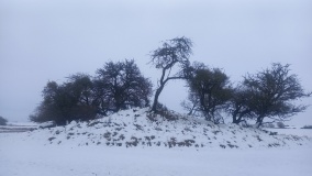 Hügelgrab Schmiedeberg 1