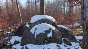 Forst Suckow Dolmen