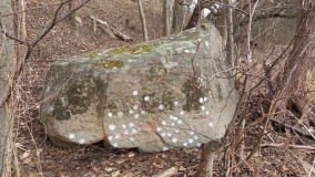 Pehlitzwerder Schalenstein