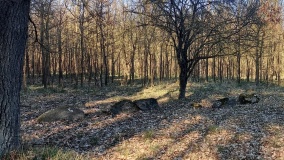 Wollschow Grab (19)