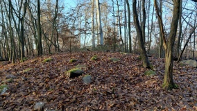 Hügelgrab Forst Suckow 2