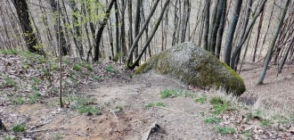 Großer Stein (Buckow) - PID:303477