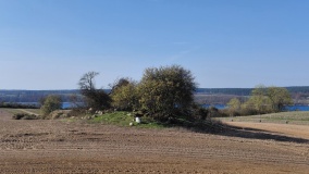 Hügelgrab Altkünkendorf 1