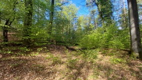 Höhensiedlung auf dem Weilickenberg