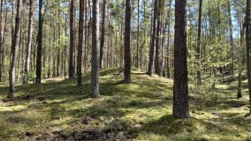 Hügelgräberfeld Karwe