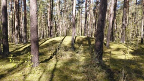 Hügelgräberfeld Karwe