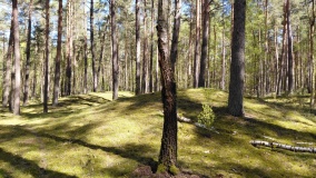 Hügelgräberfeld Karwe