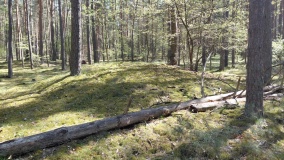 Hügelgräberfeld Karwe