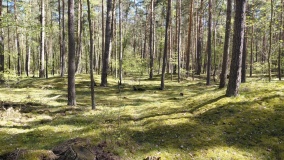 Hügelgräberfeld Karwe