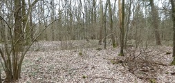 Altlandsberg Slawenburg - PID:290873