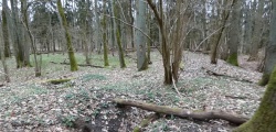 Altlandsberg Slawenburg - PID:290874