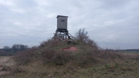 Hügelgrab Buchholz Uckermark