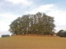 Hügelgrab Schwaneberg 140085