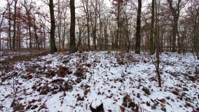 Hügelgräber Heinersdorf bei Schwedt