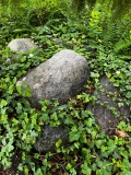 Schalenstein Alt-Lankwitz
