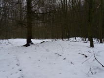 Hügelgräberfeld Hohenwalde