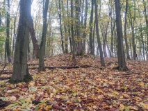 2 Hügelgräber Arendsee 140021 - PID:219472