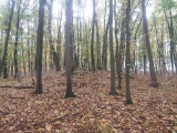 2 Hügelgräber Arendsee 140021 - PID:219466