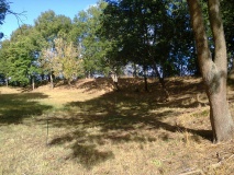 Burgwall Drense