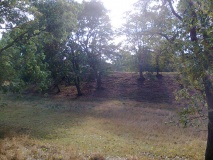 Burgwall Drense