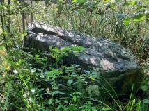 Pehlitzwerder Schalenstein