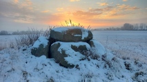 Schwaneberg Dolmen - PID:252164