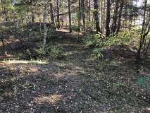 Scheers Berg