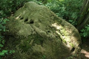 Schalenstein (Nuhnen)