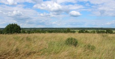 Lossow Burgwall