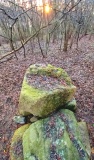 Bruessow Hammelstall Dolmen