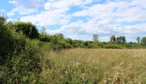 Lossow Burgwall