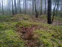 Hügelgräberfeld Jakobshagen