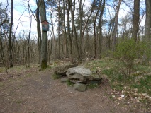 Teufelsstein Buckow - PID:303483