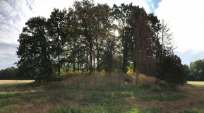 Kasel-Golzig Burgwall