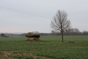 Trebenow Huenenstein - PID:63824