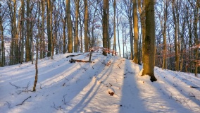 Hügelgräber Kleiner Rathsburgsee