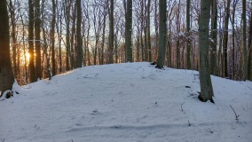 Hügelgräber Kleiner Rathsburgsee