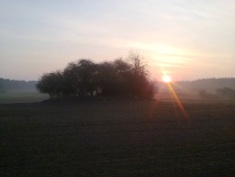 Steinhügelgräber Kreuzkrug