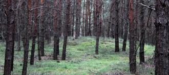 Luesse Huegelgraeberfeld