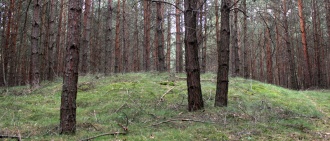 Luesse Huegelgraeberfeld