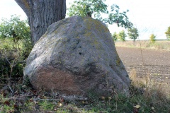 Neuenfeld Dolmen 2