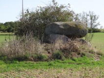 Neuenfeld Dolmen 1