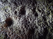 Neuenfeld Dolmen 1