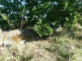 Koppelberg Dolmen - PID:293155