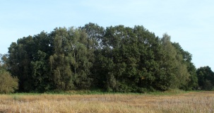 Riedebeck Slawenburg