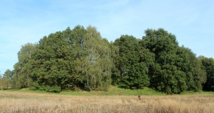 Riedebeck Slawenburg