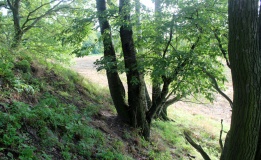 Riedebeck Slawenburg